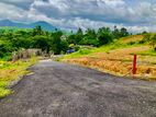 Valuable Land for Sale in Avissavella Town