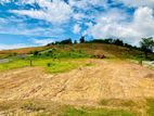 Valuable Land for Sale in Avissawella