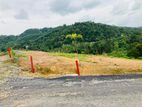 Valuable Land For Sale in Avissawella Tawn