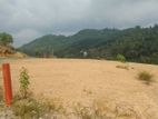 Valuable Land for Sale in Avissawella Town