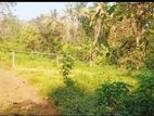 Valuable Land for Sale in Baddegama, Galle