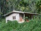 Valuable Land for Sale in Badulla