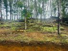 Valuable Land for Sale in Ballapitiya