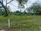 Valuable Land for Sale in Bandaragama
