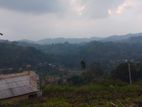 Valuable Land for Sale in Bandarawela Kontehela