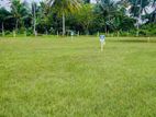 Valuable Land for Sale in Beliatta