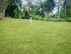 Valuable Land For Sale In Beliatta