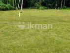 Valuable Land for Sale in Beliatta