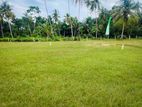 Valuable Land for Sale in Beliatta