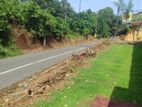Valuable Land for Sale in Bentota Tourist Area