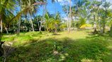 Valuable Land for Sale In Bentota Town
