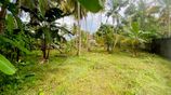 Valuable Land for Sale In Bentota Town