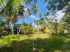 Valuable Land for Sale In Bentota Town