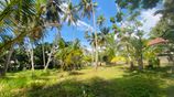 Valuable Land for Sale In Bentota Town