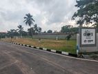 Valuable Land for Sale in Boralesgamuwa