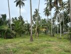 Valuable Land for Sale in Bowaththa