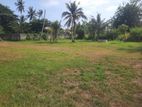Valuable Land for Sale in Daluwakotuwa