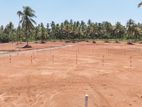 Valuable land for Sale in Dambadeniya City