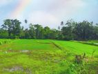 Valuable land for sale in Dambadeniya D03