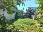 Valuable Land for Sale in Dehiwala