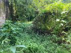 Valuable land for sale in Dehiwala