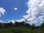Valuable land for sale in Delthota