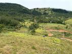 Valuable land for Sale in Deltota