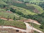 Valuable land for Sale in Deltota