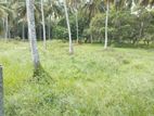 Valuable Land for Sale in Divulapitiya