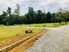 Valuable land for sale in Eheliyagoda