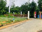 Valuable Land for Sale in Eheliyagoda Town