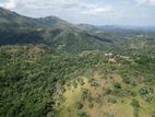 Valuable land for sale in Ella
