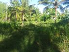 Valuable Land for Sale in Embilipitiya Town Area