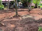 Valuable Land for Sale in Gampaha