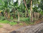 Valuable Land for Sale in Gampaha 🌳