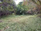Valuable Land for Sale in Gampaha Moragoda Road