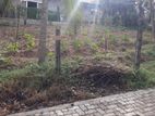 Valuable Land for Sale in Ganemulla