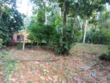 Valuable Land For Sale in Ganemulla Kadawatha