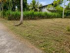 Valuable land for sale in Ganemulla Road Kadawatha