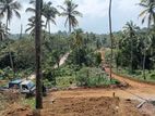 Valuable Land For Sale in Geliya