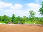 Valuable Land for Sale in Giriulla p2