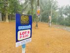 Valuable Land for Sale in Godagama