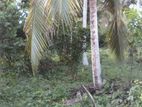 Valuable Land for Sale in Gonapinuwala, Hikkaduwa