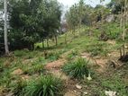 Valuable Land for Sale in Gurudeniya