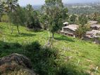Valuable Land for Sale in Gurudeniya
