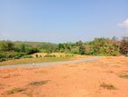 Valuable Land for Sale in Gurugoda