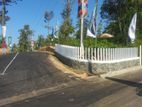Valuable land for Sale in Hadeniya