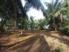 Valuable Land for Sale in Hikkaduwa