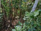Valuable Land for Sale in Hiriketiya