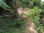 Valuable Land for Sale in Hiriketiya